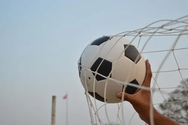 爱游戏体育 足球赛事背景